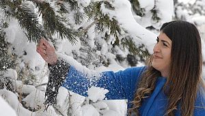 Karaçoban -26,9, Gördü