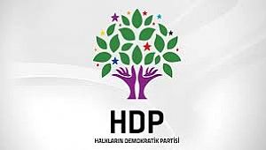 HDP Erzurum Adayları Belli Oldu