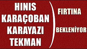 Hınıs'ta Fırtına Bekleniyor