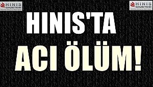 Hınıs'ta Acı Ölüm!