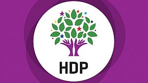 Tekman'ın HDP'li Belediye Başkanına YSK'dan Kötü Haber