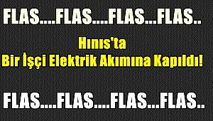Hınıs'ta Bir İşçi Elektrik Akımına Kapıldı!