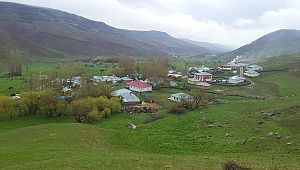 ALINTERİ MAHALLESİ