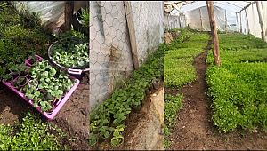 Demirci Mahallesinde Örnek Proje.