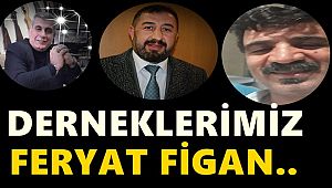 Hınıs Dernek Başkanları Feryat Figan Ediyor..