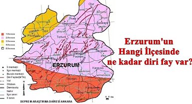 Erzurum'un Hangi İlçesinde ne kadar diri fay var?