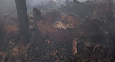 Hınıs'ta Yangın!! 21 Hayvan Telef Oldu..