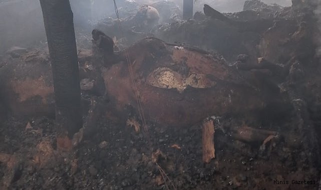 Hınıs'ta Yangın!! 21 Hayvan Telef Oldu..